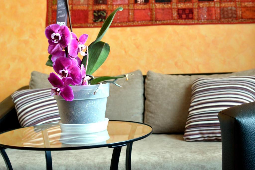 Flamingo Vendeghaz Bed & Breakfast เอ็กเกอร์ ภายนอก รูปภาพ