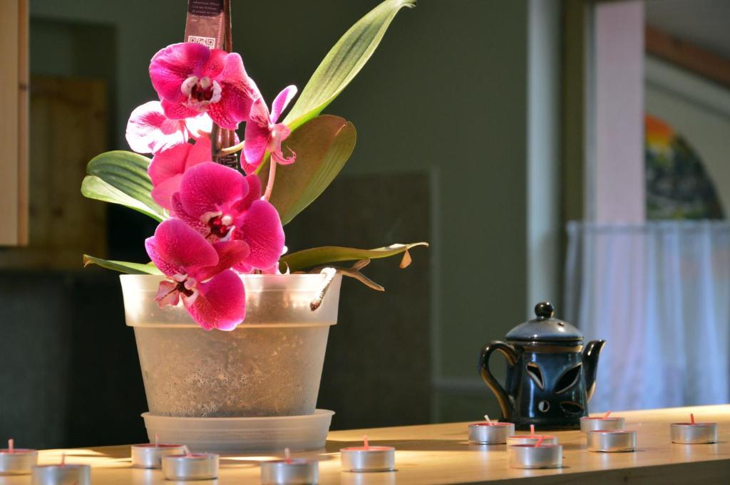 Flamingo Vendeghaz Bed & Breakfast เอ็กเกอร์ ภายนอก รูปภาพ